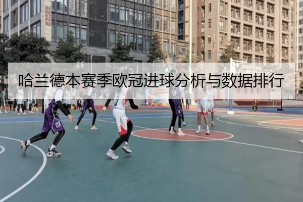 哈兰德本赛季欧冠进球分析与数据排行